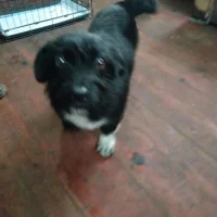 Riley – The Adventure Buddy Riley – The Adventure Buddy